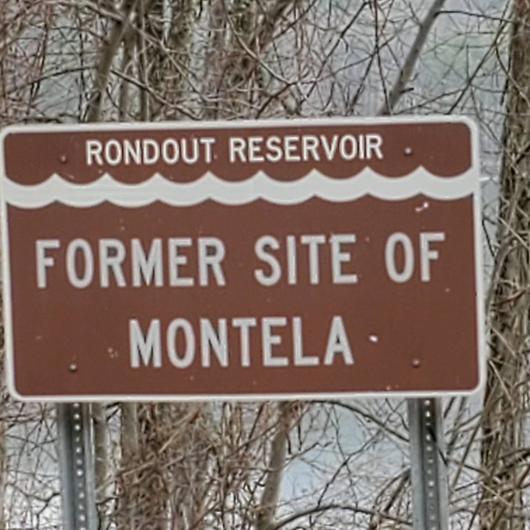 Harrington organic land care - Rondout Reservoir 2