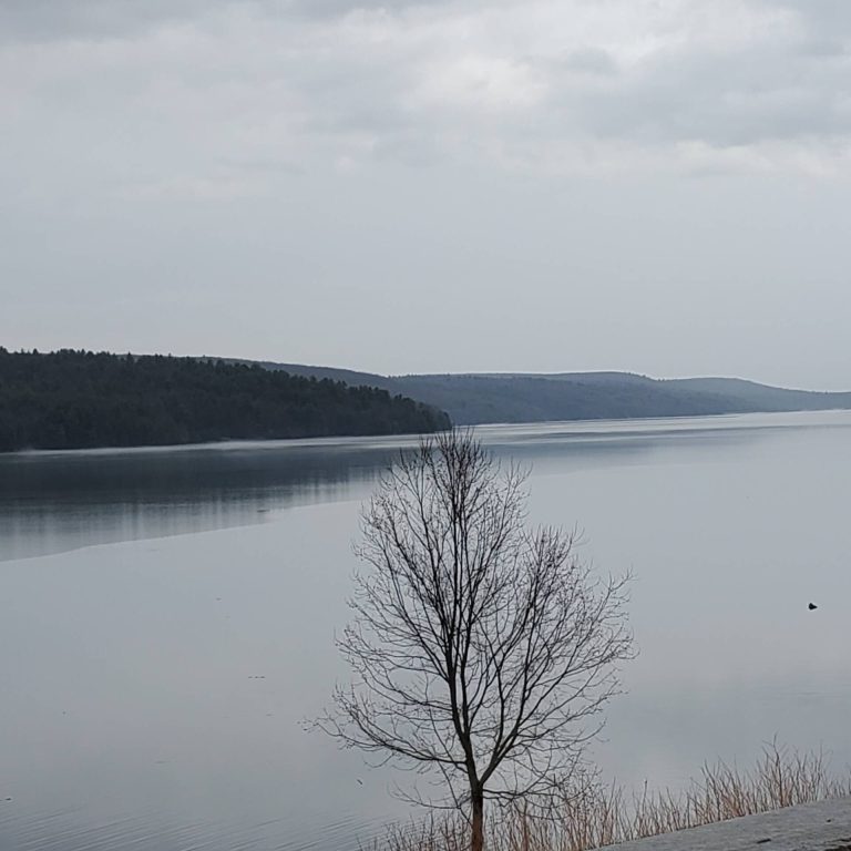 Harrington organic land care - Rondout Reservoir 3