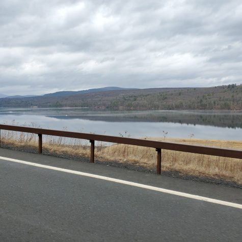 Harrington organic land care - Rondout Reservoir 5
