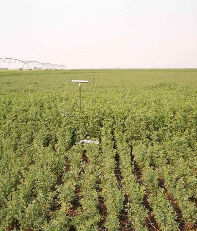 Harrington's Organic Land Care Bradfield 8