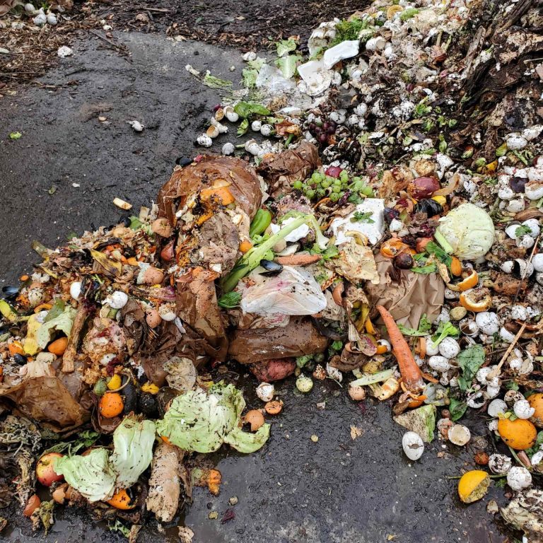 Harrington's Organic Land Care Community Compost 4