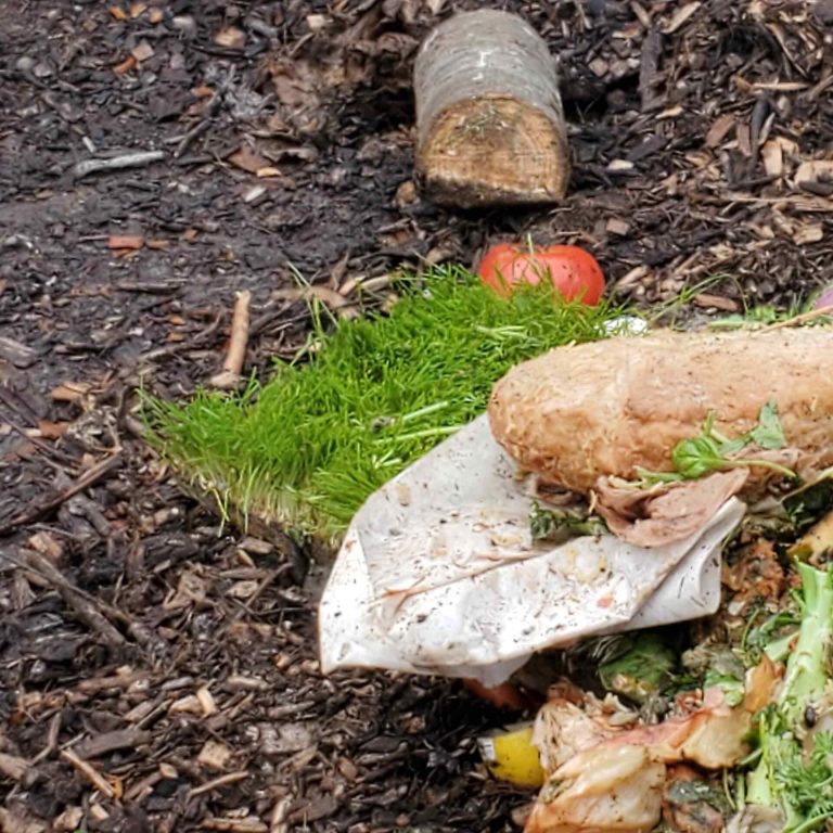Harrington's Organic Land Care Community Compost 5