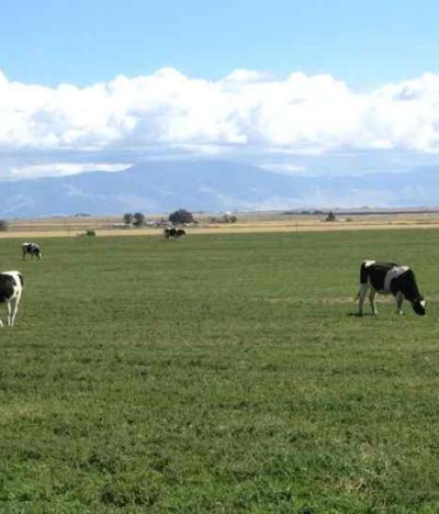 Harrington's Organic Land Care Idaho 1