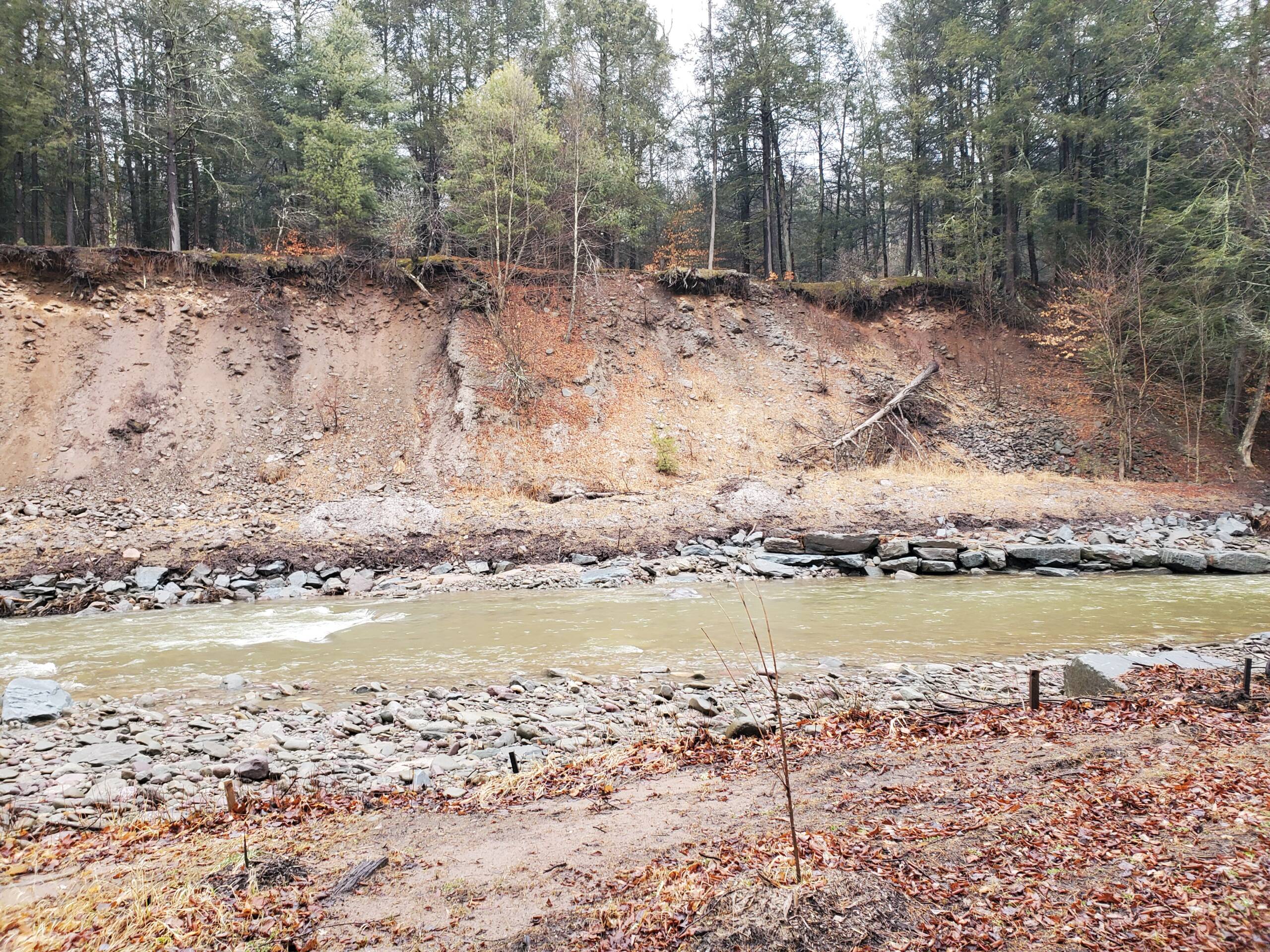 Harringtons organic land care - Sullivan County Soil & Water Conservation District 1