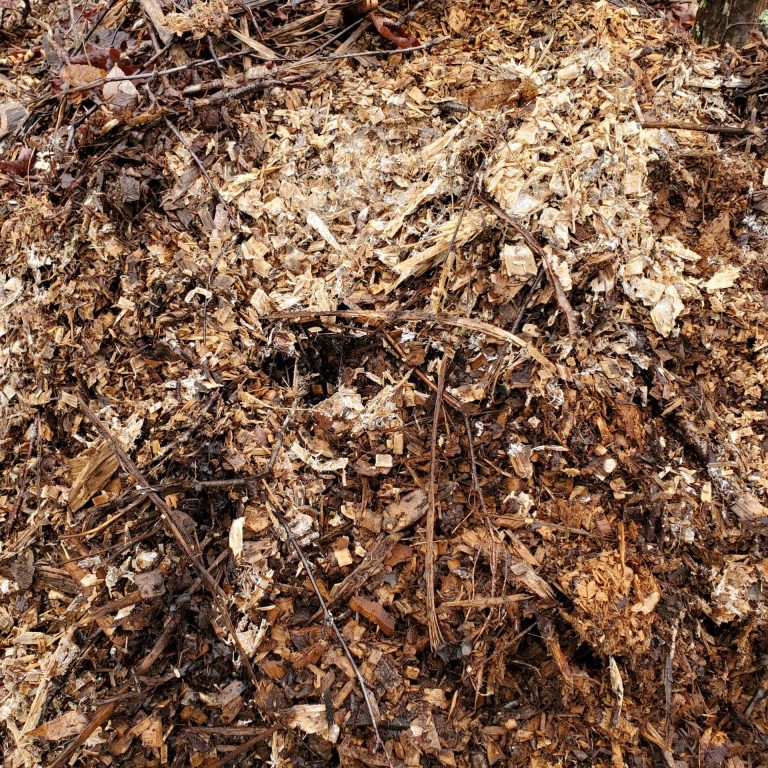 Harringtons organic land care - Sullivan County Soil & Water Conservation District 12