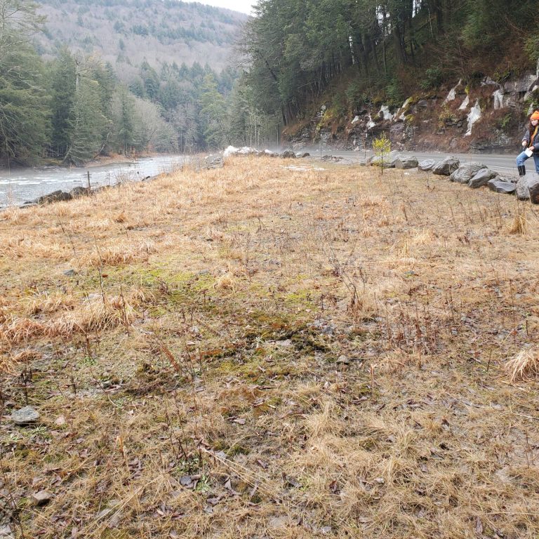 Harringtons organic land care - Sullivan County Soil & Water Conservation District 15