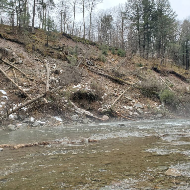 Harringtons organic land care - Sullivan County Soil & Water Conservation District 19