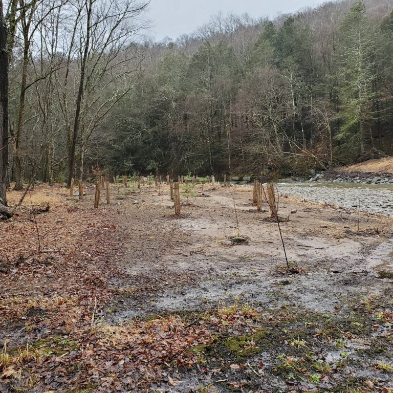 Harringtons organic land care - Sullivan County Soil & Water Conservation District 8