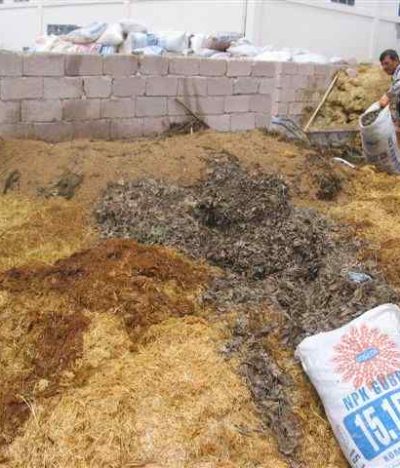 Harrington's Organic Land Care Turkish 5