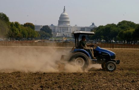 Harringtons Organic Land Care - Washington DC 11