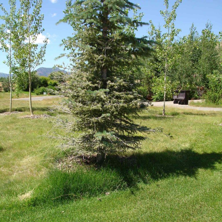 Sun Valley Idaho 4