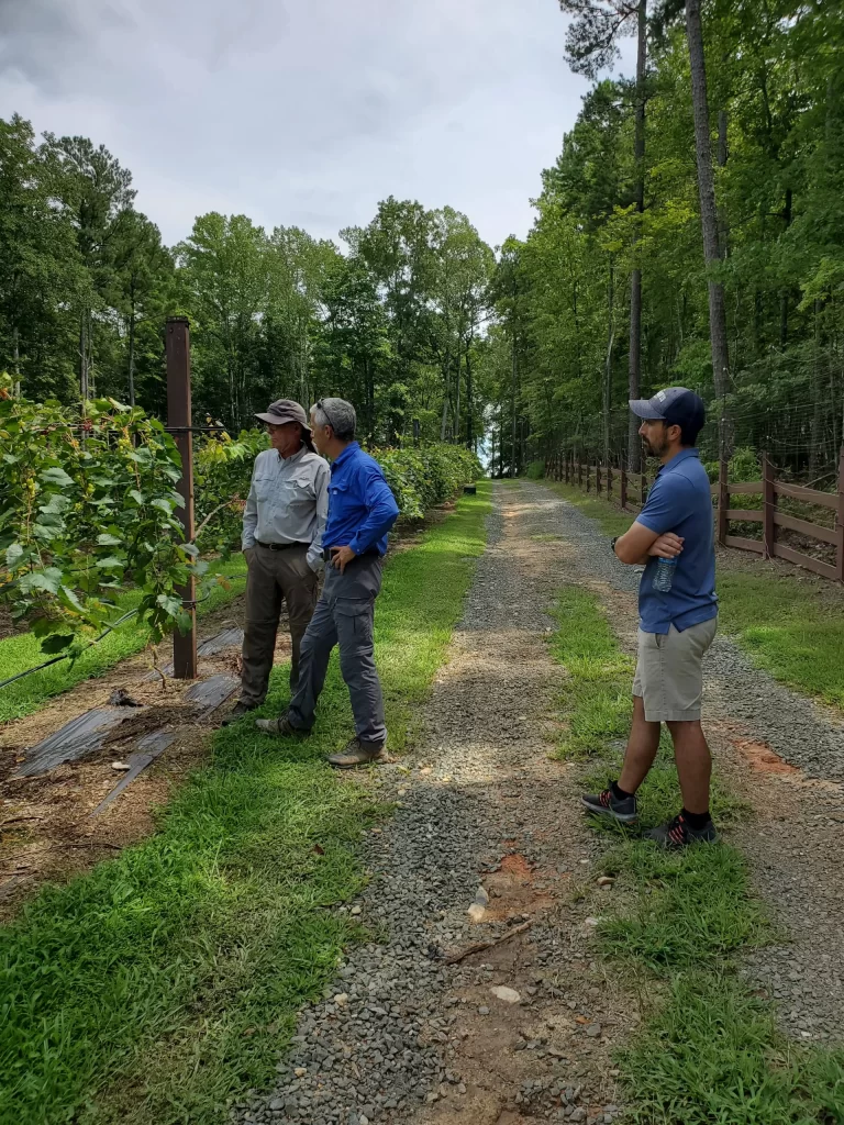 Harringtons-Organic-Land-Care-Consulting-Union-Grove-Farm-Project-2020 (7)