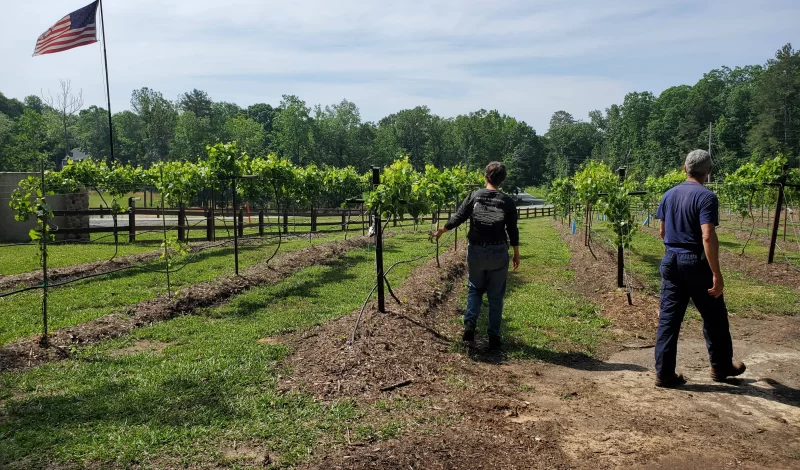 Harringtons-Organic-Land-Care-Consulting-Union-Grove-Farm-Project-2021 (10)