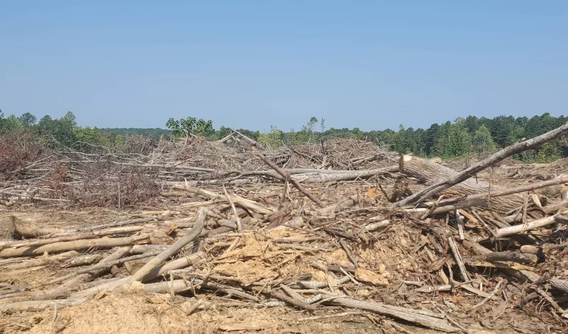 Harringtons-Organic-Land-Care-Consulting-Union-Grove-Farm-Project-2021 (2)