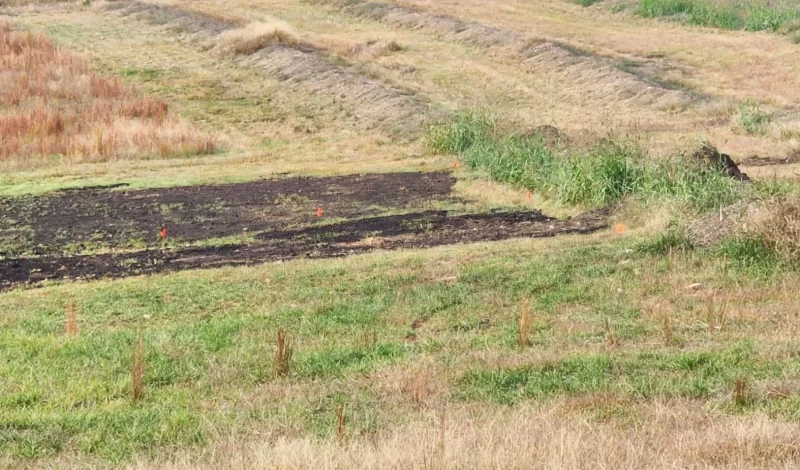 Harringtons-Organic-Land-Care-Soil-Food-Web-Consulting-Union-grove (9)