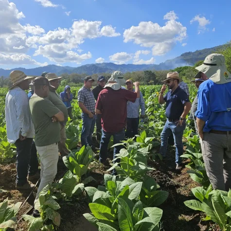 Harringtons-Organic-Land-Care-Soil-Food-Web-Plasenscia-Tabacco-Project (6)
